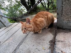 -终南山南五台景区