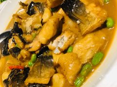 广式葱油蒸黄鱼-成隆行·蟹王府(九江路店)