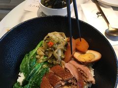 -MR鹅外