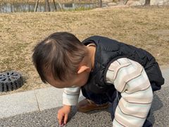 -自然谷恐龙园
