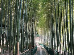 -宝岩生态观光园