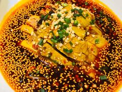 口水鸡-青花椒花椒鱼(新百店)