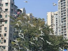 -江燕路万科里
