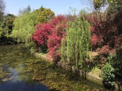 -韩湘水博园