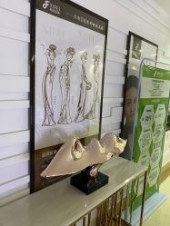 -东莞西妃整形美容医院