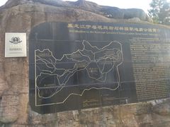 -汤旺河林海奇石景区
