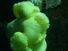 -苏州海洋馆