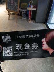 -ODIN 奥丁形象设计 