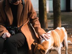 -午潮山国家森林公园