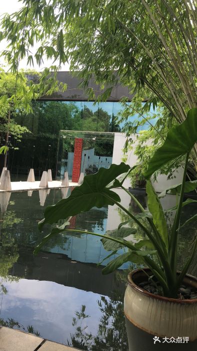 紫荆会--环境图片-深圳美食-大众点评网