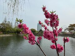 -无锡蠡湖国家湿地公园-蠡园