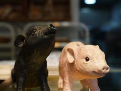 -WHEN PIGS FLY当猪飞