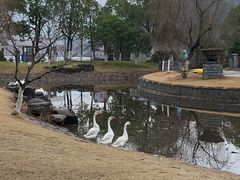 -宁波九龙湖开元度假村