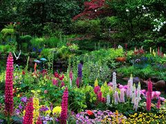 -上海共青森林公园