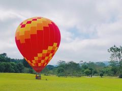 -中国科学院西双版纳热带植物园