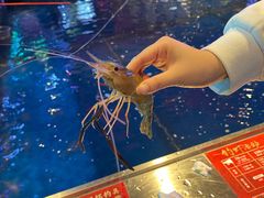 -钳真多钓虾馆·小龙虾海鲜烧烤(九六广场店)