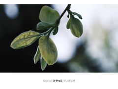 -北京石刻艺术博物馆