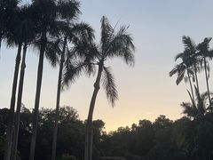 -荔枝公园(福田区)