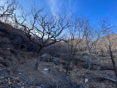 -天津盘山风景名胜区