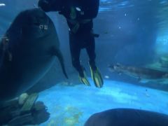 -烟台海昌鲸鲨海洋公园