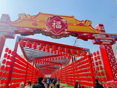 -北京凤凰岭