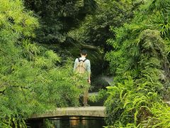 -广州兰圃