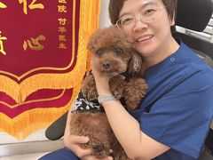 -派美特宠物医院·核磁CT·骨科肿瘤·疑难转诊(沈农禾丰店)