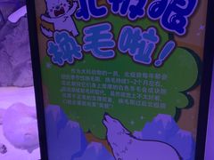 -上海海昌海洋公园-冰山北极馆