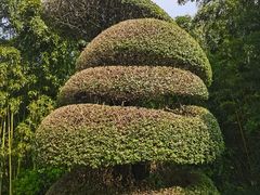 -苏州河梦清园环保主题公园