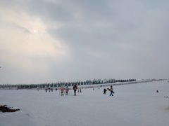 -呼兰河口湿地公园
