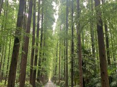 -上海怡沁园度假酒店