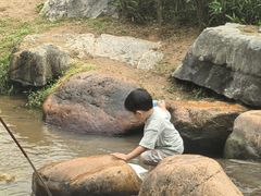 -黄埔油麻山森林公园