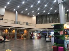 -谢列梅捷沃国际机场