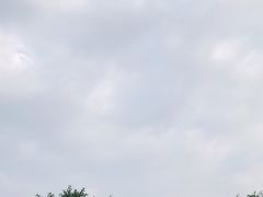 -Club Queen皇后酒吧