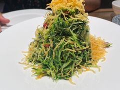 巧拌豆苗-四季民福烤鸭店(西单华威约饭街店)