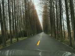 -滨海高尔夫俱乐部