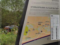 -桤木河湿地公园