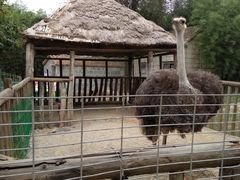 -兰陵国家农业公园