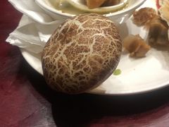 -森谷美食公园(杨行店)