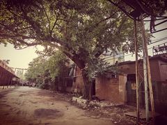 -济南轻骑摩托车有限公司(和平路)