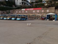 -东极岛景区