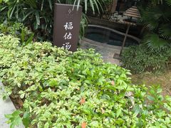 -汇雅温泉