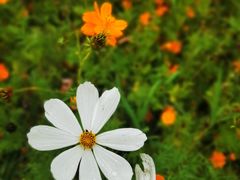 -钟山体育运动公园