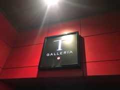 -DFS旗下T广场(新加坡店)