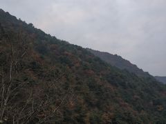 -王顺山国家森林公园