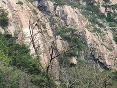 -泰山风景名胜区