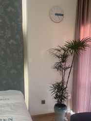 -奥本科技美肤·养生SPA