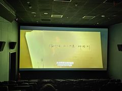 -新影联·华谊兄弟影院(望京店)