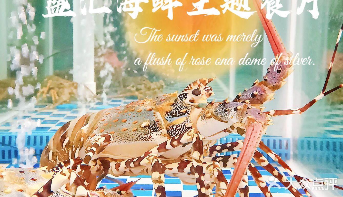 雄峰城｜✨实惠生猛海鲜餐！🦐