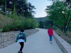 -鬼笑石后山停车场